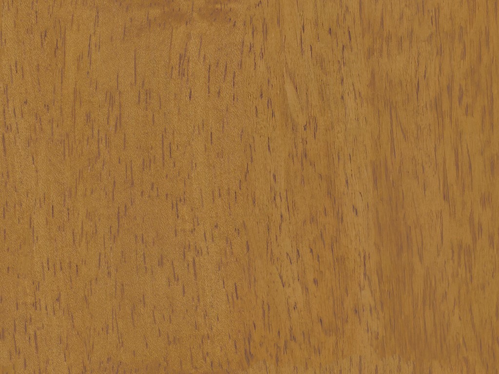 Honey Birch Honey Birch